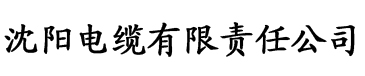 人妻少妇久久中文字幕电缆厂logo